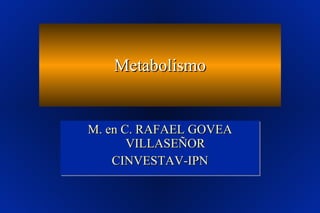 Metabolismo M. en C. RAFAEL GOVEA VILLASEÑOR CINVESTAV-IPN 