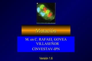 MutaciónMutación
M. en C. RAFAEL GOVEAM. en C. RAFAEL GOVEA
VILLASEÑORVILLASEÑOR
CINVESTAV-IPNCINVESTAV-IPN
M. en C. RAFAE...