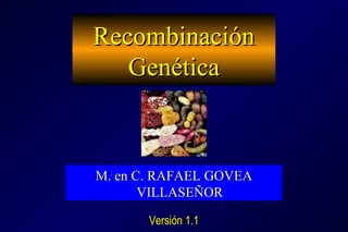 RecombinaciónRecombinación
GenéticaGenética
M. en C. RAFAEL GOVEAM. en C. RAFAEL GOVEA
VILLASEÑORVILLASEÑOR
CINVESTAV-IPN y UAM-ICINVESTAV-IPN y UAM-I
M. en C. RAFAEL GOVEAM. en C. RAFAEL GOVEA
VILLASEÑORVILLASEÑOR
CINVESTAV-IPN y UAM-ICINVESTAV-IPN y UAM-I
Versión 2.0Versión 2.0
 