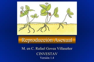 Reproducción AsexualReproducción Asexual
M. en C. Rafael Govea Villaseñor
CINVESTAV
Versión 1.4
 