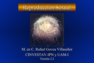Reproducción SexualReproducción Sexual
M. en C. Rafael Govea Villaseñor
CINVESTAV-IPN y UAM-I
Versión 2.2
 