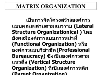 MATRIX ORGANIZATION เป็นการจัดโครงสร้างองค์การแบบผสมผสานตามแนวราบ  ( Lateral Structure Organizationical )   โดยยังคงมีองค์การแบบภารหน้าที่  (Functional Organization)  หรือ องค์การแบบวิชาชีพ (Professional Bureaucracy)  ซึ่งเป็นองค์การตามแนวดิ่ง  (Vertical Structure Organization)  ที่เป็นองค์การหลัก  ( Parent Organization) 