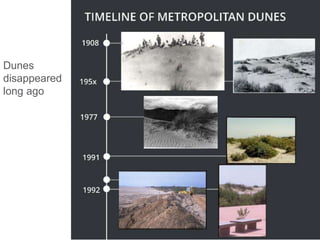 Dunes
disappeared
long ago
 