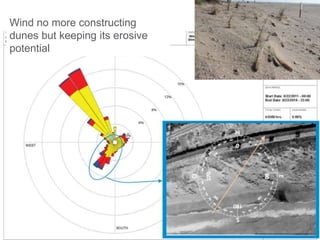 Wind no more constructing
dunes but keeping its erosive
potential
 