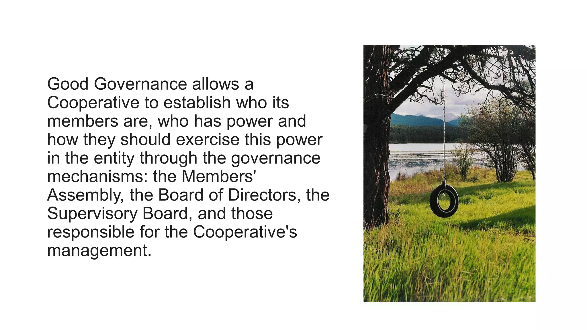 Good Governance allows a
Cooperative to establish who its
members are, who has power and
how they should exercise this power
in the entity through the governance
mechanisms: the Members'
Assembly, the Board of Directors, the
Supervisory Board, and those
responsible for the Cooperative's
management.
 