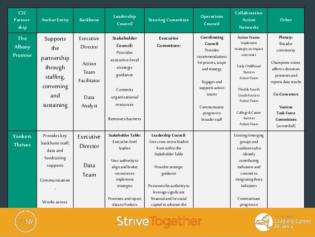 Governance structures in collective impact initiatives