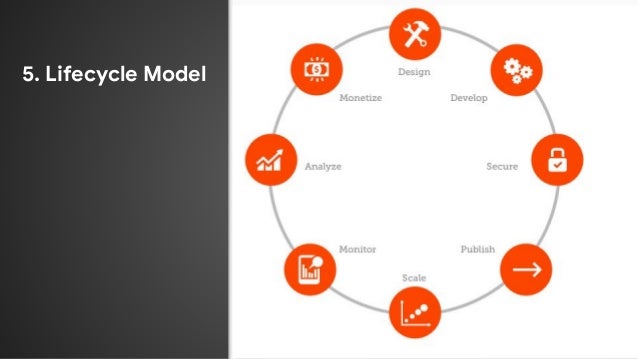 5. Lifecycle Model
 