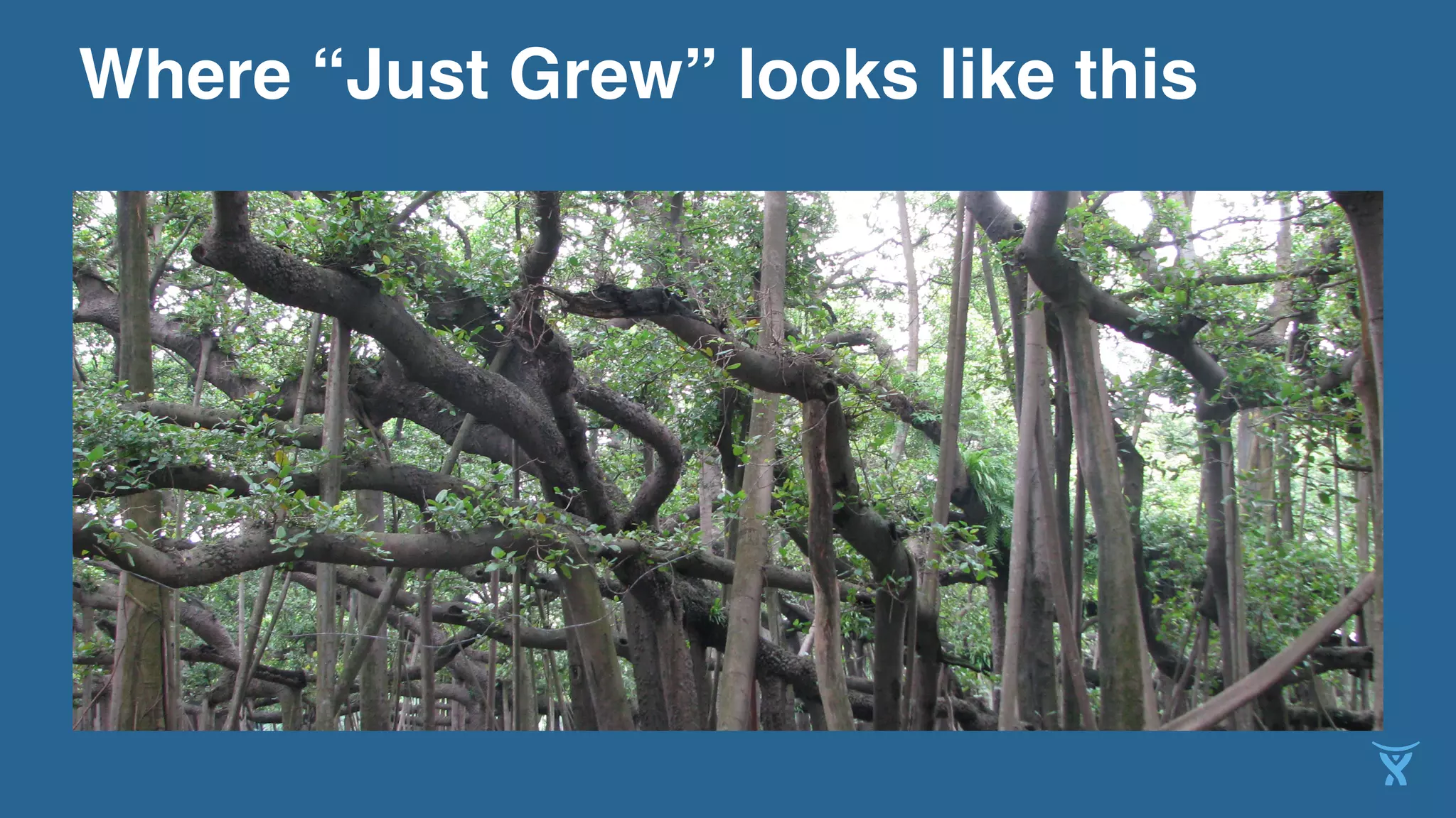 Where “Just Grew” looks like this!