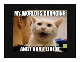 Government 2.0: architecting for collaboration