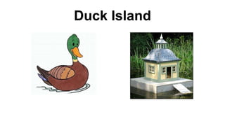 Duck Island 