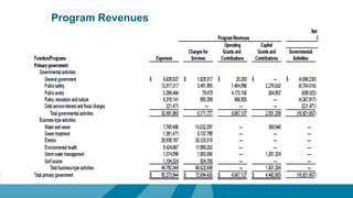 Program Revenues
 