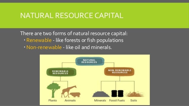 Natural Resources Found In Sub Saharan Africa Natural Resources Found In Sub Saharan Africa