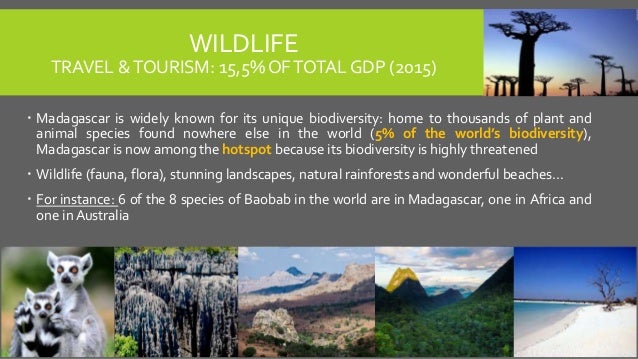 Population of madagascar image