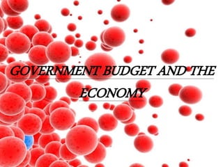 GOVERNMENT BUDGET AND THE
ECONOMY
 