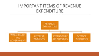 Government budget and the economy | PPTX