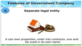 Government company.pdf