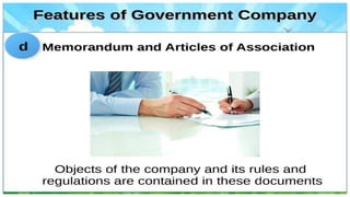 Government company.pdf