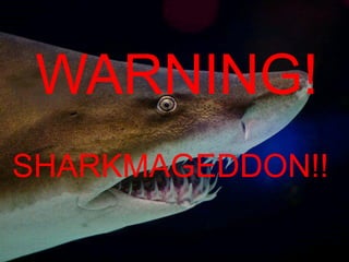 WARNING!
  SHARKMAGEDDON!!

© Blue Coat Systems, Inc. 2012.
 