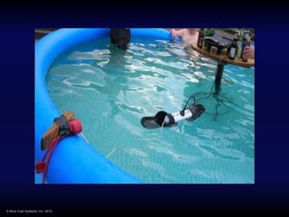 © Blue Coat Systems, Inc. 2012.
 