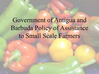 Government of Antigua and
Barbuda Policy of Assistance
to Small Scale Farmers
 