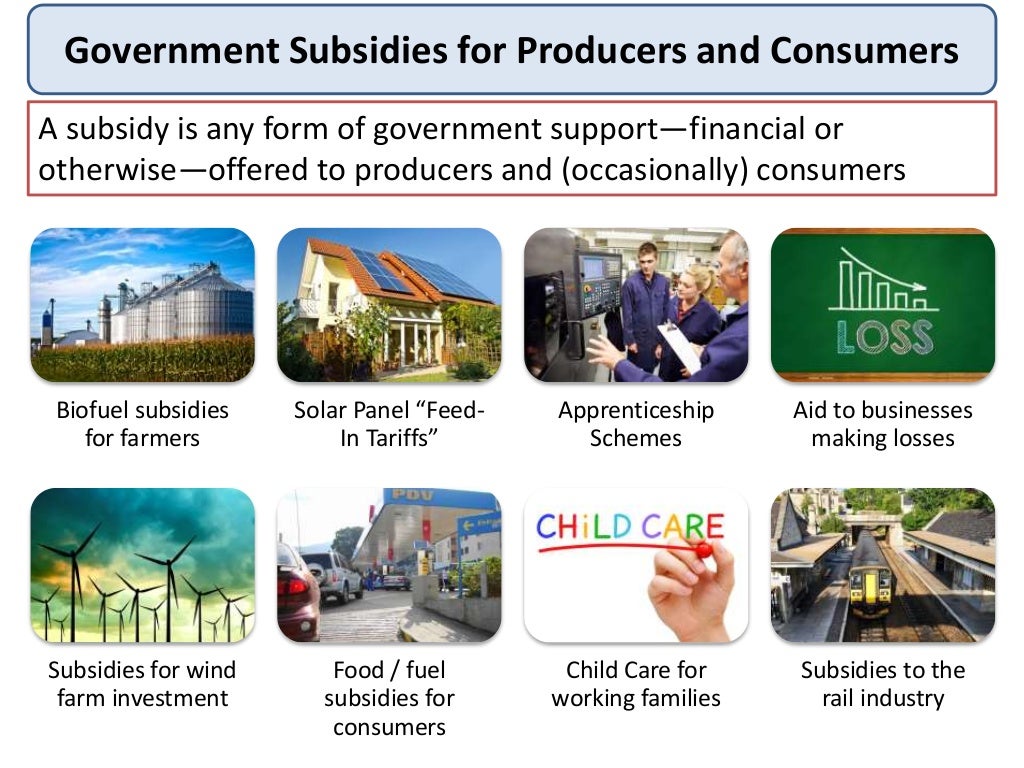 Government subsidies
