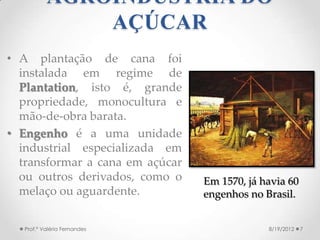 AGROINDÚSTRIA DO AÇÚCAR
• A lavoura de cana foi instalada
  em regime de Plantation, isto
  é, latifúndio, monocultura e
 ...