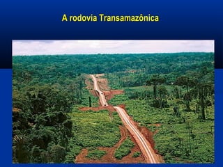 A rodovia TransamazônicaA rodovia Transamazônica
 