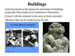Buildings
Acid rain dissolves the stonework and mortar of buildings
(especially those made out of sandstone or limestone).
It reacts with the minerals in the stone to form a powdery
substance that can be washed away by rain.
 