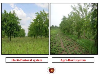 Horti-Pastoral system Agri-Horti system
15
 