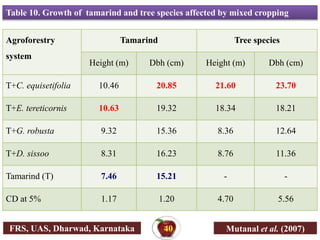Table 10. Growth of tamarind and tree species affected by mixed cropping
Agroforestry
system
Tamarind Tree species
Height (m) Dbh (cm) Height (m) Dbh (cm)
T+C. equisetifolia 10.46 20.85 21.60 23.70
T+E. tereticornis 10.63 19.32 18.34 18.21
T+G. robusta 9.32 15.36 8.36 12.64
T+D. sissoo 8.31 16.23 8.76 11.36
Tamarind (T) 7.46 15.21 - -
CD at 5% 1.17 1.20 4.70 5.56
Mutanal et al. (2007)
FRS, UAS, Dharwad, Karnataka 40
 