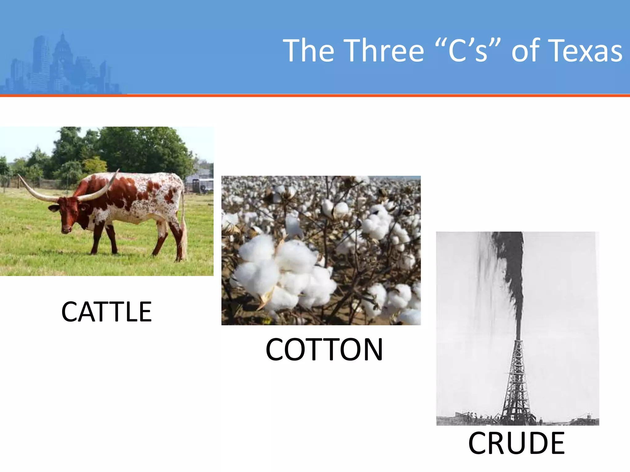 The Three “C’s” of Texas
CATTLE
COTTON
CRUDE
 