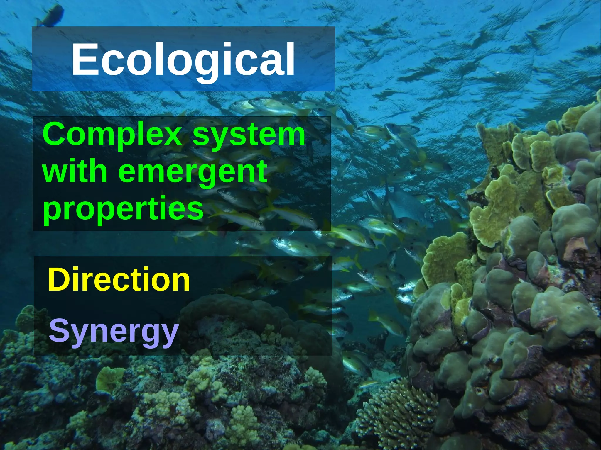 Ecological
    Complex system
    with emergent
    properties

    Direction
    Synergy

                   
 