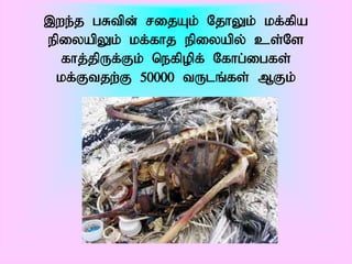 ,we;j gRtpd; rijAk; NjhYk; kf;fpa
epiyapYk; kf;fhj epiyapy; cs;Ns
  fhj;jpUf;Fk; nefpopf; Nfhg;igfs;
 kf;Ftjw;F 50000 tUlq;fs; MFk;
 