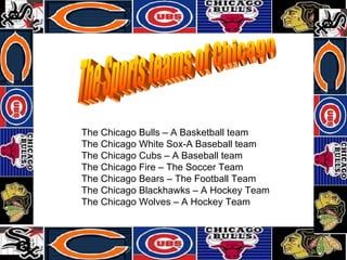 The Sports teams of Chicago The Chicago Bulls – A Basketball team The Chicago White Sox-A Baseball team The Chicago Cubs – A Baseball team The Chicago Fire – The Soccer Team The Chicago Bears – The Football Team The Chicago Blackhawks – A Hockey Team The Chicago Wolves – A Hockey Team 