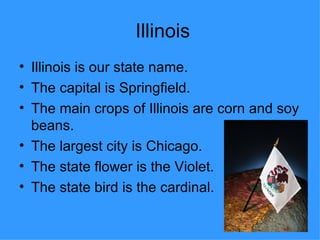 Illinois Illinois is our state name. The capital is Springfield. The main crops of Illinois are corn and soy beans. The largest city is Chicago. The state flower is the Violet. The state bird is the cardinal. 