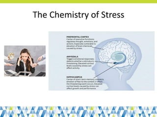 The Chemistry of Stress
 