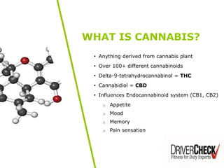 • Anything derived from cannabis plant
• Over 100+ different cannabinoids
• Delta-9-tetrahydrocannabinol = THC
• Cannabidiol = CBD
• Influences Endocannabinoid system (CB1, CB2)
o Appetite
o Mood
o Memory
o Pain sensation
WHAT IS CANNABIS?
 