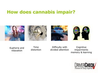 How does cannabis impair?
Euphoria and
relaxation
Time
distortion
Difficulty with
divided attention
Cognitive
impairments
memory & learning
 
