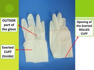 OUTSIDE
part of
the glove
Everted
CUFF
(Inside)
Opening of
the Everted
ROLLED
CUFF
 