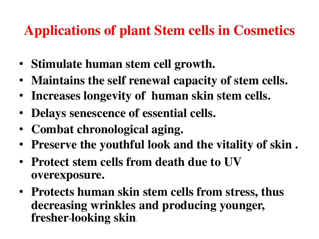 plant stem cells
