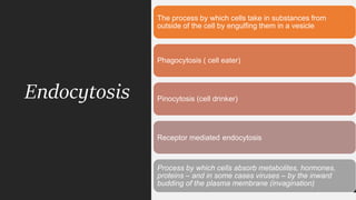 Endocytosis
The process by which cells take in substances from
outside of the cell by engulfing them in a vesicle
Phagocytosis ( cell eater)
Pinocytosis (cell drinker)
Receptor mediated endocytosis
Process by which cells absorb metabolites, hormones,
proteins – and in some cases viruses – by the inward
budding of the plasma membrane (invagination)
 
