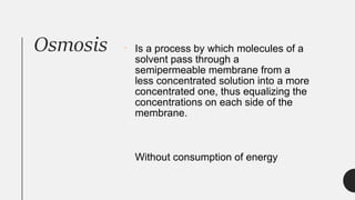 Osmosis Is a process by which molecules of a
solvent pass through a
semipermeable membrane from a
less concentrated solution into a more
concentrated one, thus equalizing the
concentrations on each side of the
membrane.
Without consumption of energy
 