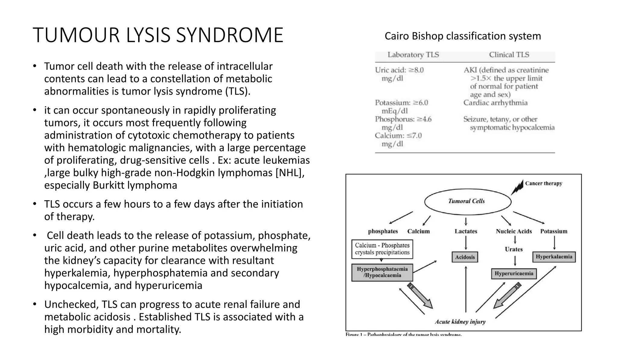 TUMOUR LYSIS SYNDROME
• Tumor cell death with the release of intracellular
contents can lead to a constellation of metabolic
abnormalities is tumor lysis syndrome (TLS).
• it can occur spontaneously in rapidly proliferating
tumors, it occurs most frequently following
administration of cytotoxic chemotherapy to patients
with hematologic malignancies, with a large percentage
of proliferating, drug-sensitive cells . Ex: acute leukemias
,large bulky high-grade non-Hodgkin lymphomas [NHL],
especially Burkitt lymphoma
• TLS occurs a few hours to a few days after the initiation
of therapy.
• Cell death leads to the release of potassium, phosphate,
uric acid, and other purine metabolites overwhelming
the kidney’s capacity for clearance with resultant
hyperkalemia, hyperphosphatemia and secondary
hypocalcemia, and hyperuricemia
• Unchecked, TLS can progress to acute renal failure and
metabolic acidosis . Established TLS is associated with a
high morbidity and mortality.
Cairo Bishop classification system
 