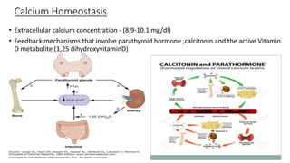 Calcium Homeostasis
• Extracellular calcium concentration - (8.9-10.1 mg/dl)
• Feedback mechanisms that involve parathyroid hormone ,calcitonin and the active Vitamin
D metabolite (1,25 dihydroxyvitaminD)
 