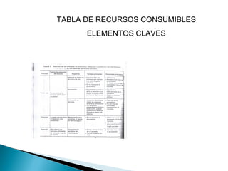 TABLA DE RECURSOS CONSUMIBLES
ELEMENTOS CLAVES
 