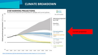 CLIMATE BREAKDOWN
https://climatenexus.org/international/ipcc/comparing-climate-impacts-at-1-5c-2c-3c-and-4c/
Current projection
 
