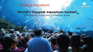 Antalya Aquarium 
