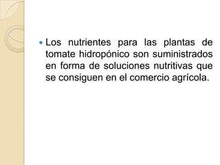    Los nutrientes para las plantas de
    tomate hidropónico son suministrados
    en forma de soluciones nutritivas que
    se consiguen en el comercio agrícola.
 