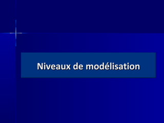 Niveaux de modélisation
 