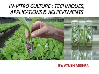 IN-VITRO CULTURE : TECHNIQUES,
APPLICATIONS & ACHIEVEMENTS
BY: AYUSH MISHRA
 